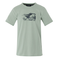 Męska koszulka Cline IX Regatta RMT296 I Zielony