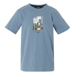 Męska Koszulka Cline IX Regatta RMT296 | Niebieski