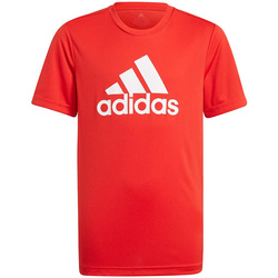 Koszulka dla dzieci adidas Designed To Move Big Logo Tee czerwona GN1477