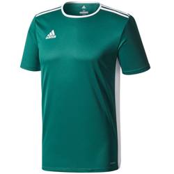 Koszulka dla dzieci adidas Entrada 18 Jersey JUNIOR zielona CE9563