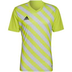 Koszulka męska adidas Entrada 22 Graphic Jersey żółto-szara HF0118